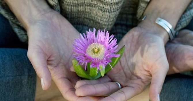 Reset the Digestive System to Eliminate Disorders image