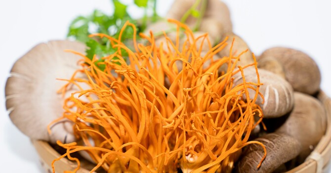 From Zombie Fiction to Functional Reality image