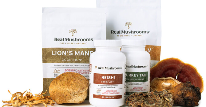 Top 5 Supplements for Brain Fog & Mental Clarity Boost image