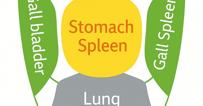 Chinese Medicine 101: Tongue Diagnosis image