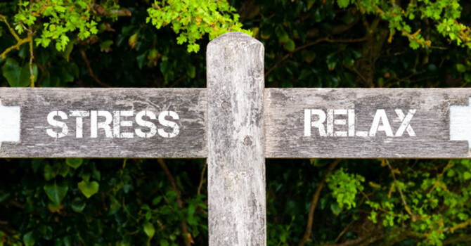 How Cortisol Makes You Fat image